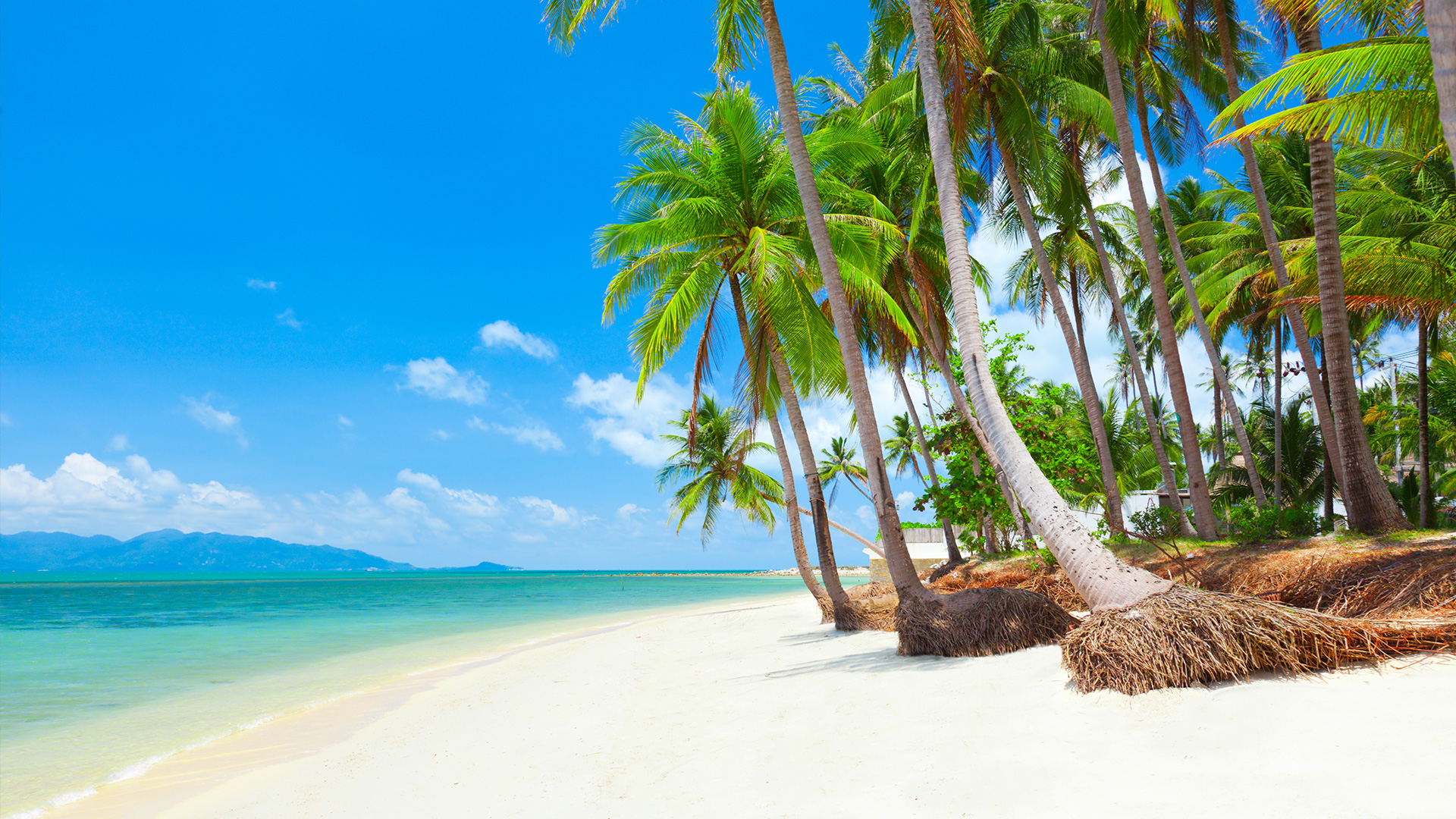 KOH SAMUI (3) & PHUKET (3) & SINGAPUR (1) TURU
