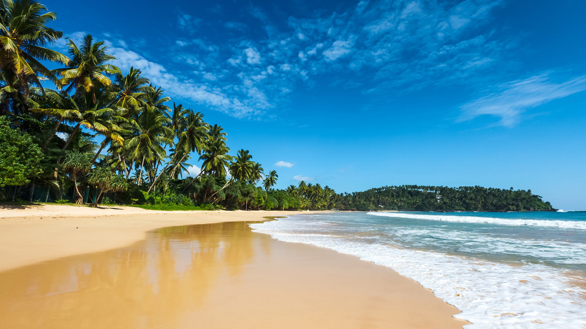SRİ LANKA TURU
